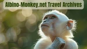 Albino-Monkey.net Travel Archives: Unlock Unique Adventures