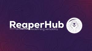 A Beginner’s Guide to Reaper Hub Script  